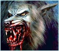 [HL LL] WoLf EviL Logo