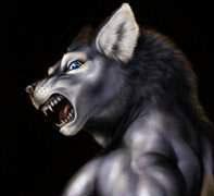 [CDLL] KATSUMOTO DARKNESS Logo