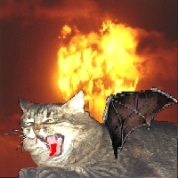 [TVN] la gata angelical Logo