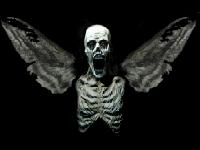 [SBT] MaTa GaTo Logo