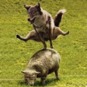 [I love TURBIO in tanga] Logo