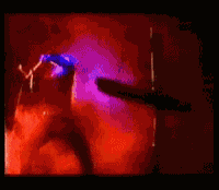 [HL LL] Wolfardo Logo