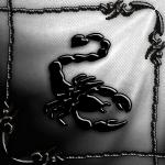 [TBS] THE BLACK SCORPION Logo