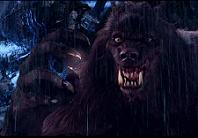 [CLL] COYAQ ASSASIM Logo