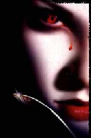 Damisela de la Noche Logo