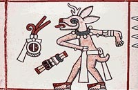 [A.N.M] von mexnahual Logo