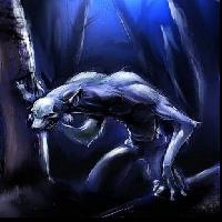 [DFM] FrAkTaL WoLf Logo