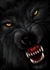EL lobo estepario Logo